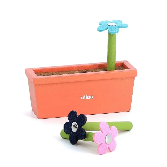 Early Learning Garden