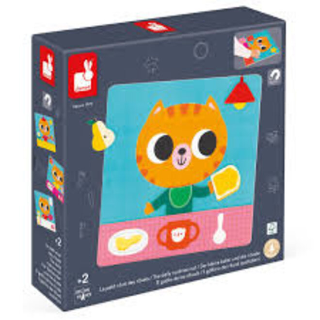 THE DAILY ROUTINES CAT