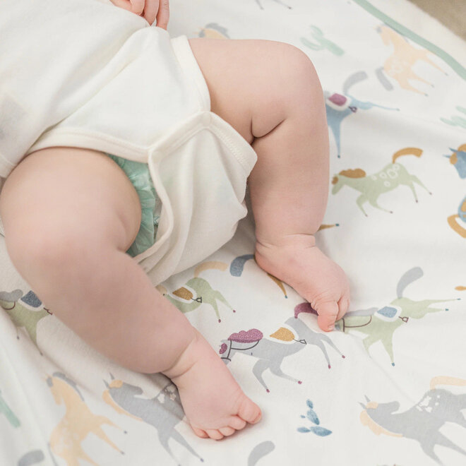 Waterproof Change Pad S 60*80cm Pony Express