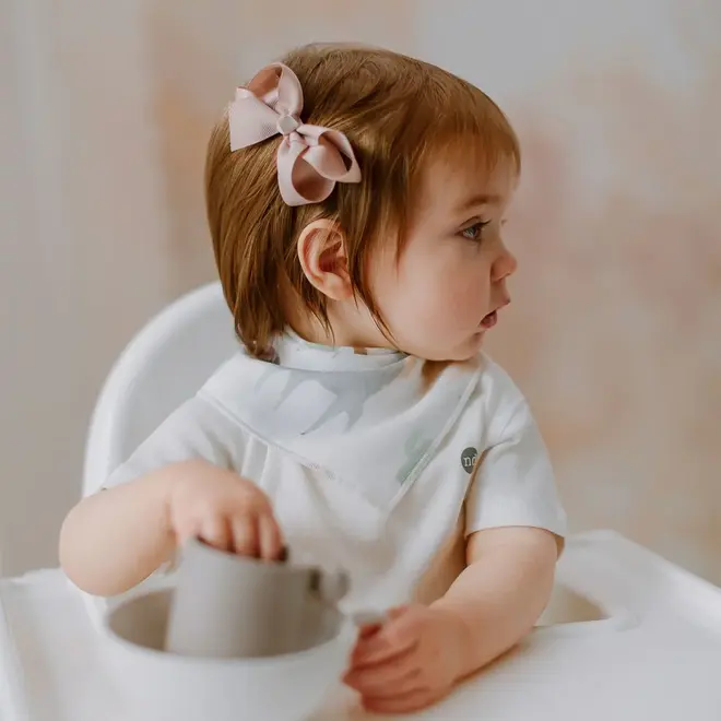 Bandana Bib Pony Express