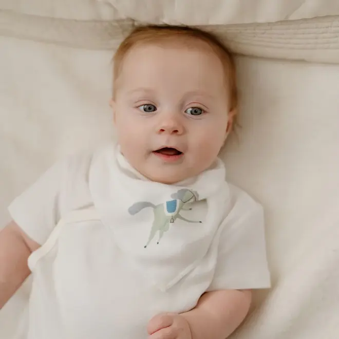 Bandana Bib Pony Express