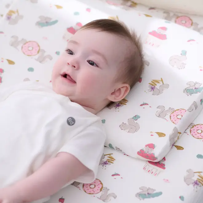 Pillow with Pillowcase Very Squirrelly