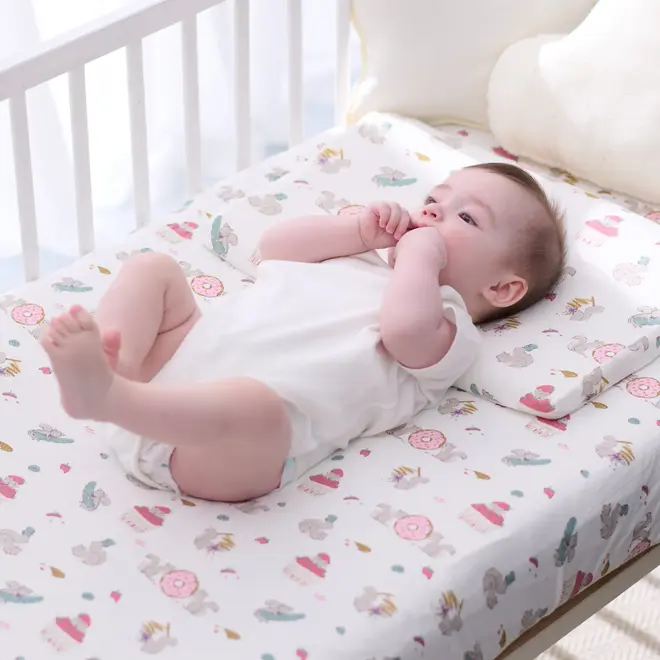 Pillow with Pillowcase Very Squirrelly