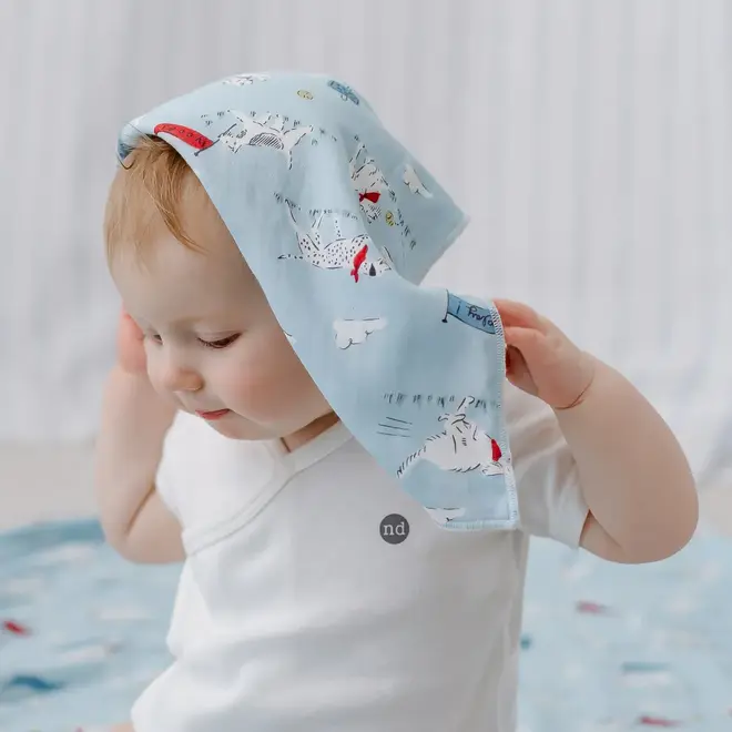 Bubs Baby Washcloth Set (6 Pack) - 35cm x 35cm - Summer Days