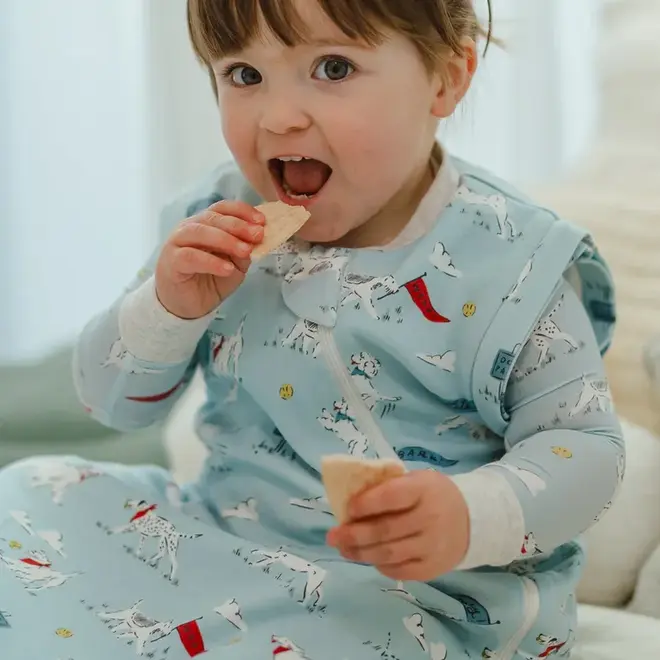 1.0 TOG Removable Sleeve Sleep Bag Puppy Park