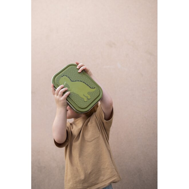 Trixie Lunch box large - Mr. Dino