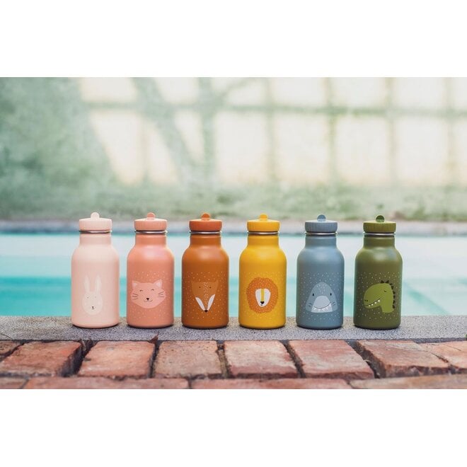 Trixie Bottle 350ml - Mr. Dino