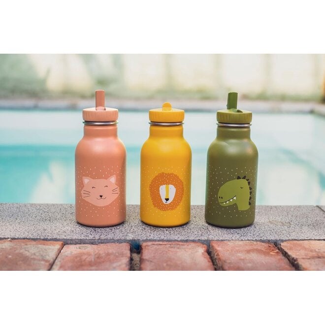 Trixie Bottle 350ml - Mr. Lion