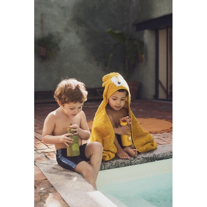 Trixie Bottle 350ml - Mr. Lion