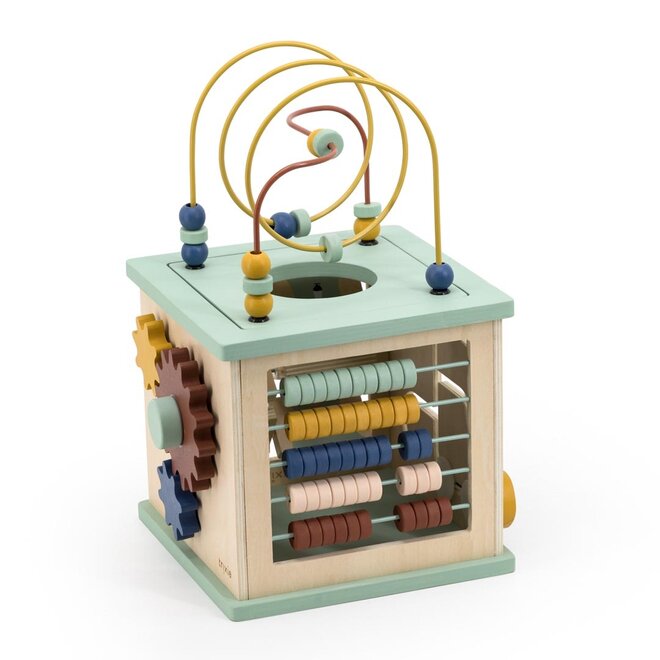 Trixie Wooden 5-in-1 activity cube