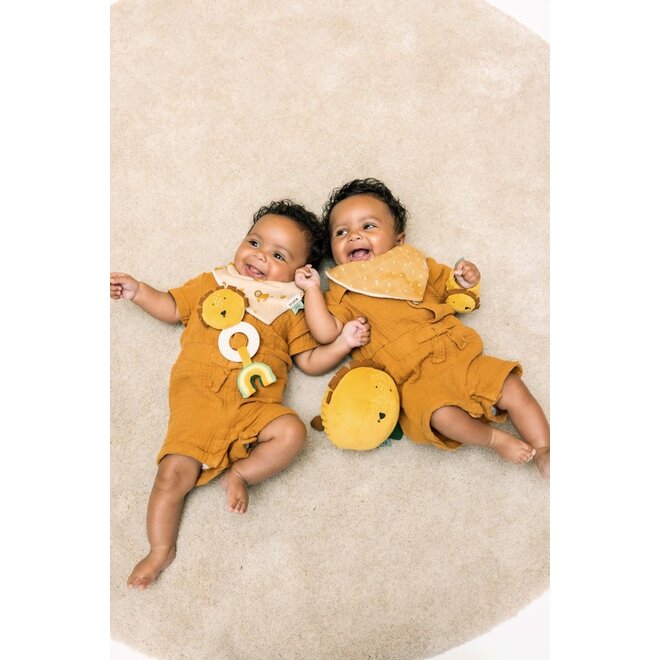 Trixie Teething toy - Mr. Lion