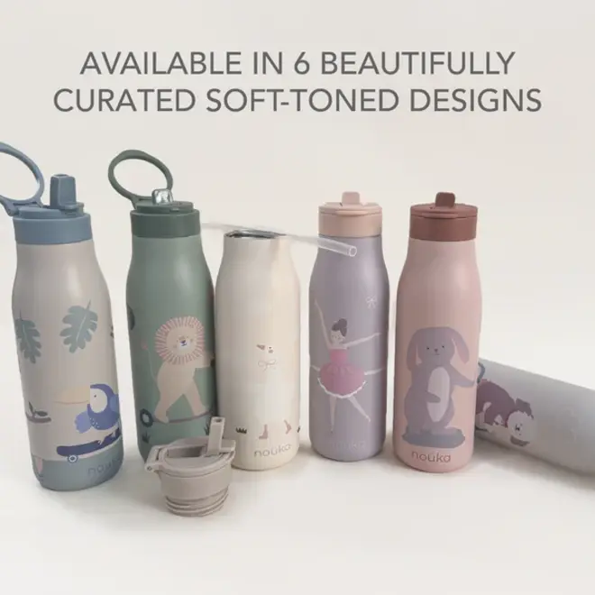 noüka Stainless Steel Drinking Bottle 16 Oz Daisy Collection - Fleur The Ballerina