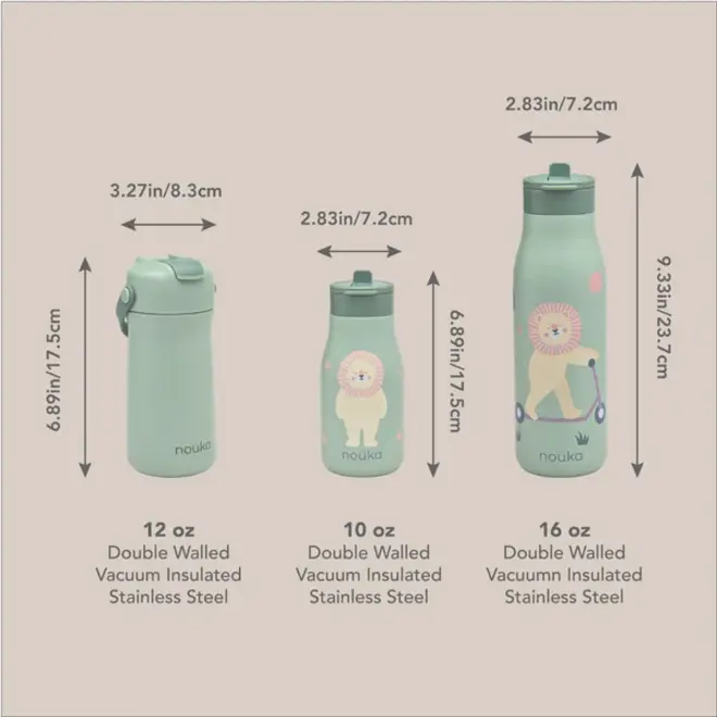 noüka Stainless Steel Drinking Bottle 16 Oz Daisy Collection - Roary The Lion