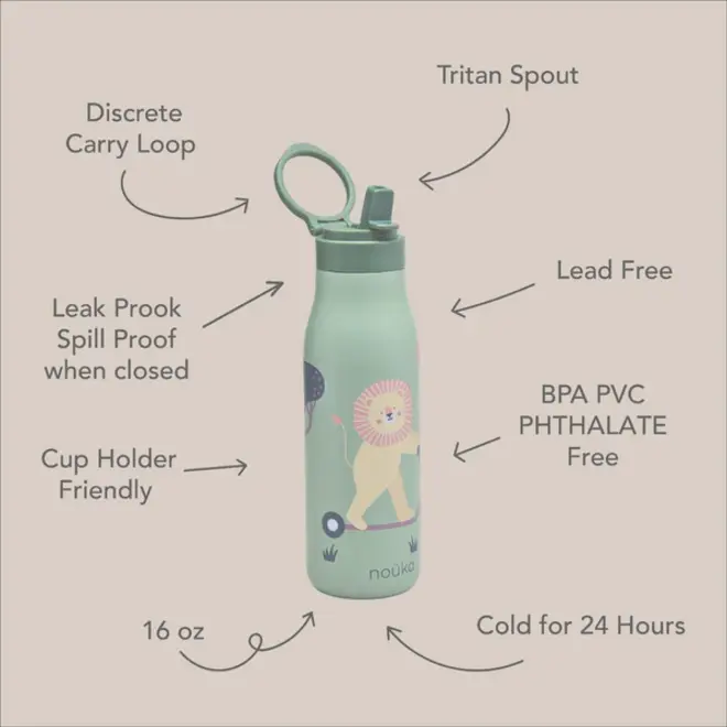 noüka Stainless Steel Drinking Bottle 16 Oz Daisy Collection - Roary The Lion
