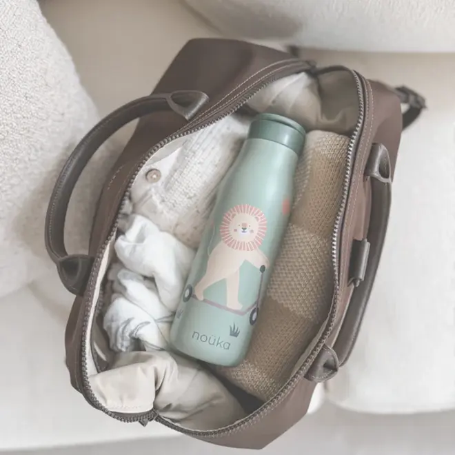 noüka Stainless Steel Drinking Bottle 16 Oz Daisy Collection - Roary The Lion