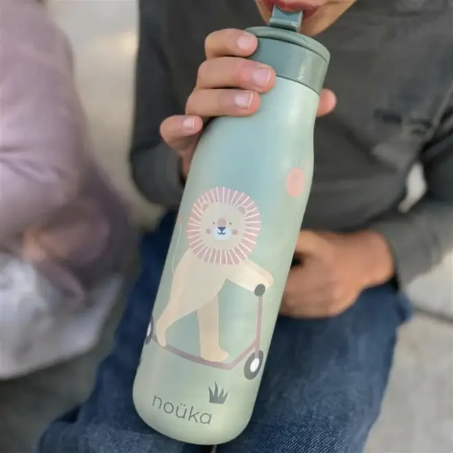 noüka Stainless Steel Drinking Bottle 16 Oz Daisy Collection - Roary The Lion