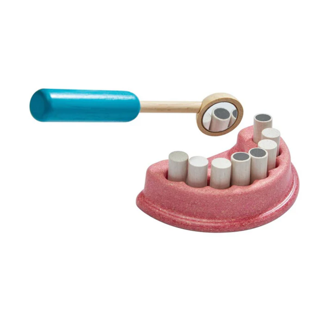 Plan Toys Dentist Set