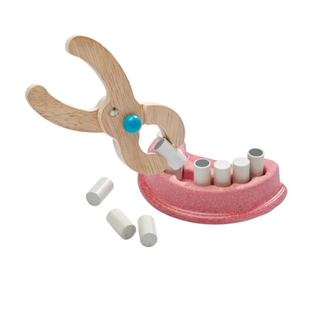 Plan Toys Dentist Set