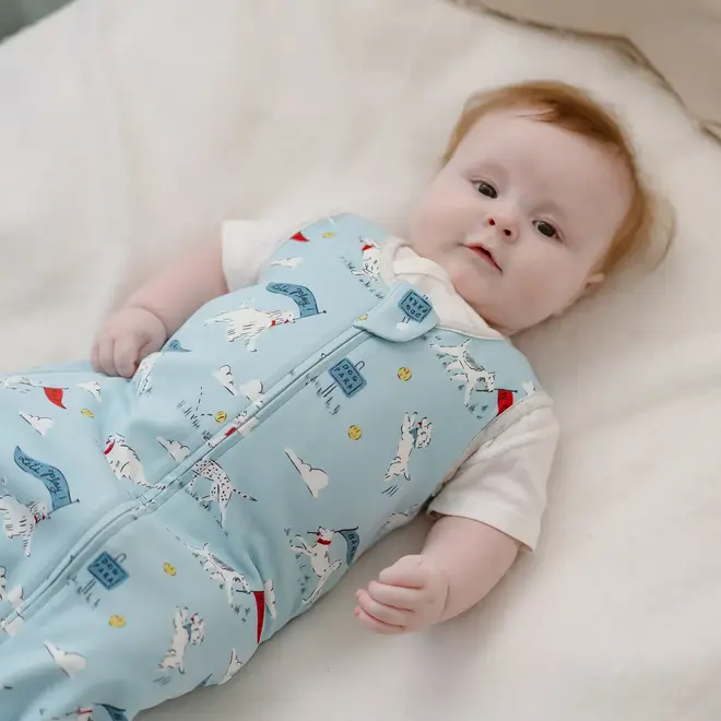 1.0 TOG Swaddle Sleep Bag Puppy Park