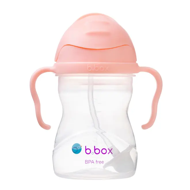 b.box - Sippy Straw Cup 240ml - Tutti Frutti