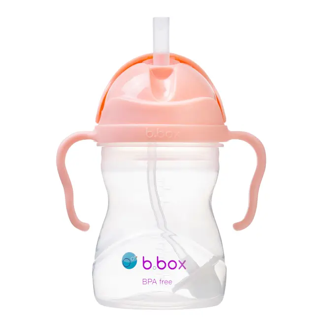 b.box - Sippy Straw Cup 240ml - Tutti Frutti