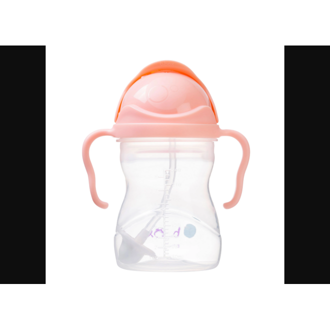 b.box - Sippy Straw Cup 240ml - Tutti Frutti