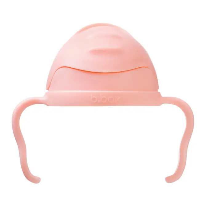 b.box - Sippy Straw Cup 240ml - Tutti Frutti