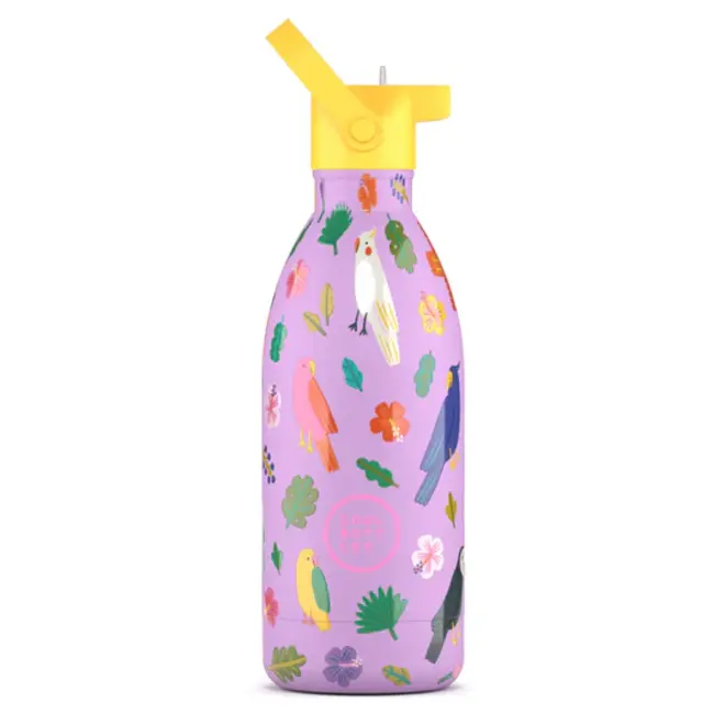Cool Bottles - Kids 500ml -Discovery Series - Fly Free