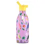 Cool Bottles - Kids 500ml -Discovery Series - Fly Free