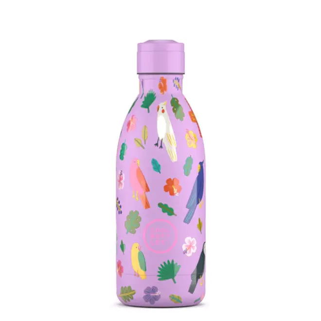 Cool Bottles - Kids 500ml -Discovery Series - Fly Free