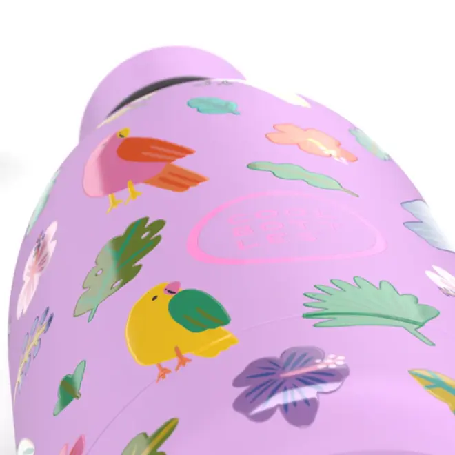 Cool Bottles - Kids 500ml -Discovery Series - Fly Free