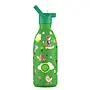 Cool Bottles - Kids 500ml -Explorer Series - Rolling Skaters