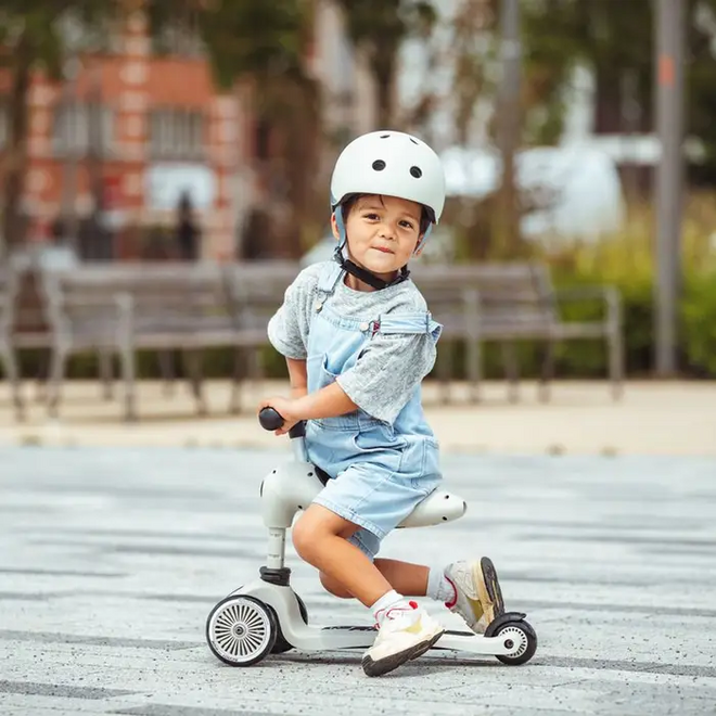 Scoot And Ride Highway Kick1-Ash