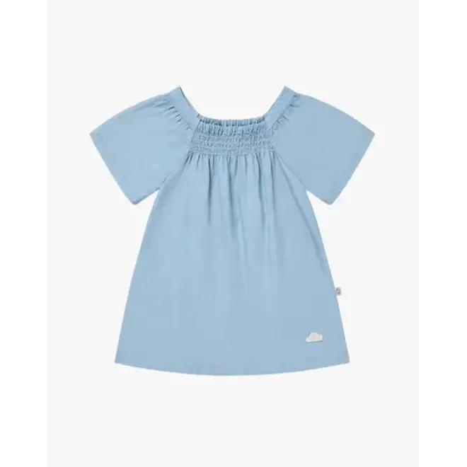 Denim Dress Chambray Denim
