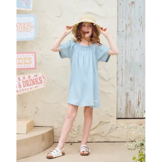 Denim Dress Chambray Denim