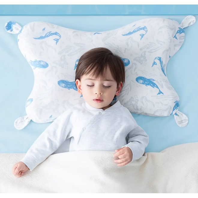 Babycare Toddler Pillow and Pillowcase