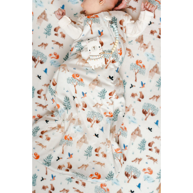 Pacifier Clip Teether Set - Llama (NEW)