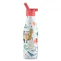 Cool Bottles - Kids 350ml - Playland Series Brave Vikings