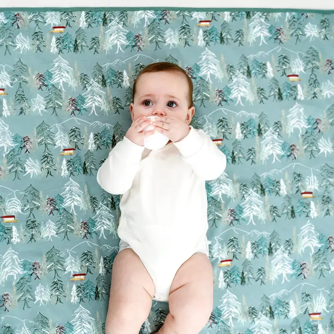 Organic Cotton Waterproof Change Pad (Large) - Forest Fun