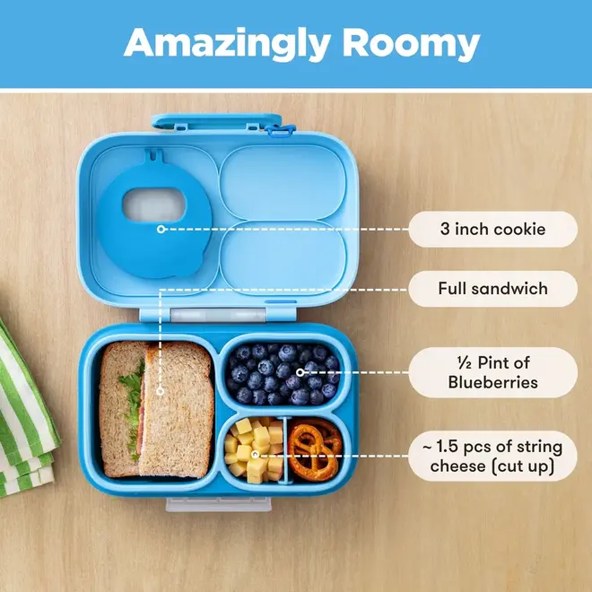 OmieBox Lite Carton Surf Blue
