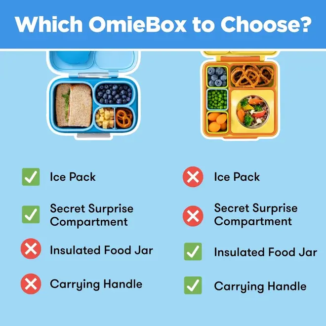 OmieBox Lite Carton Surf Blue
