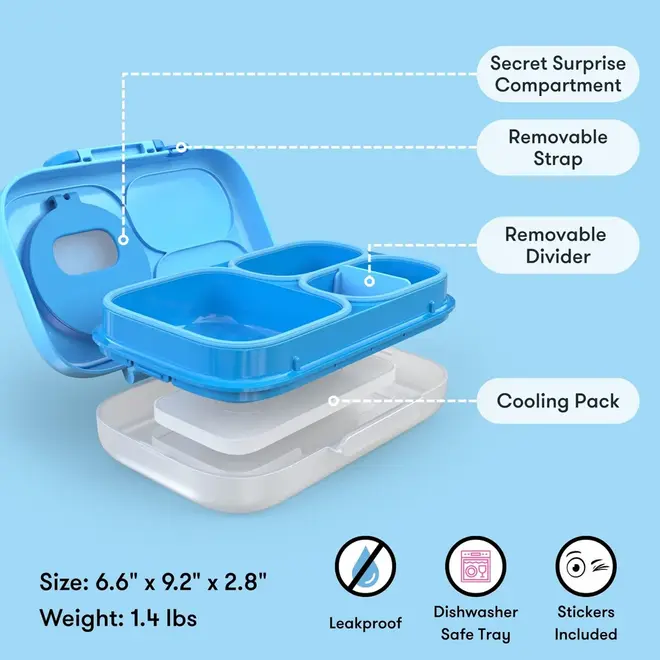OmieBox Lite Carton Surf Blue