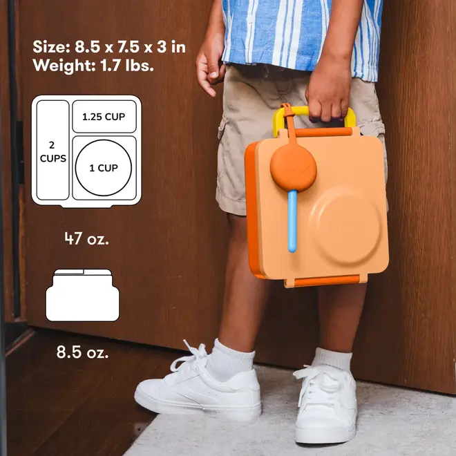 OmieBox Carton Poppy Orange