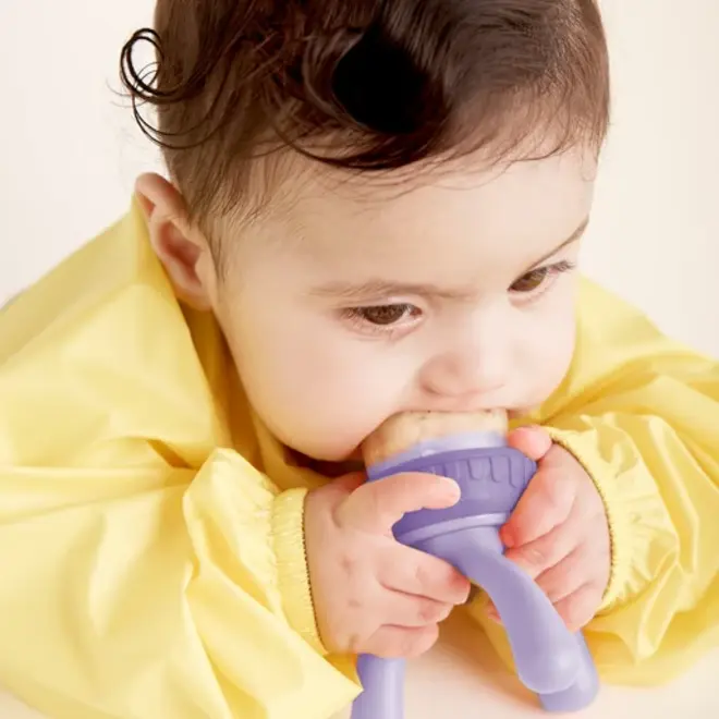 b.box - Silicone Fresh Food Feeder - Peony