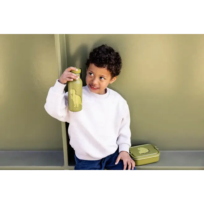 Trixie Bottle 500ml - Mr. Dino