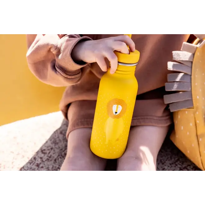 Trixie Bottle 500ml - Mr. Lion