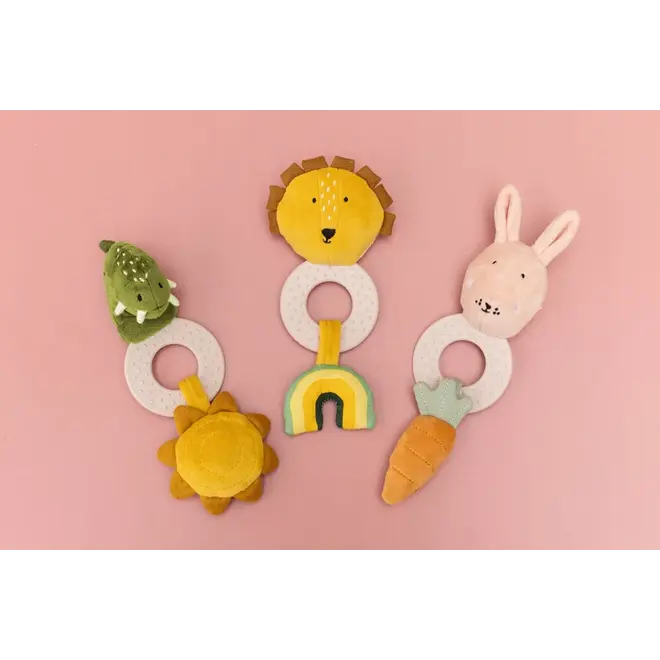 Trixie Teething toy - Mr. Dino