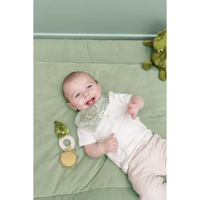 Trixie Teething toy - Mr. Dino
