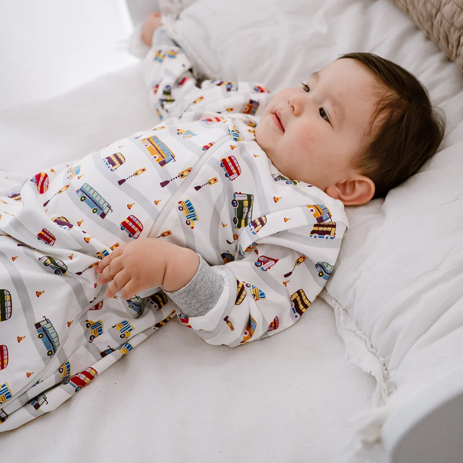 1.0 TOG Removable Sleeve Sleep Bag Wheels On The Bus