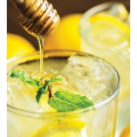 HIC Honey and Syrup Dipper